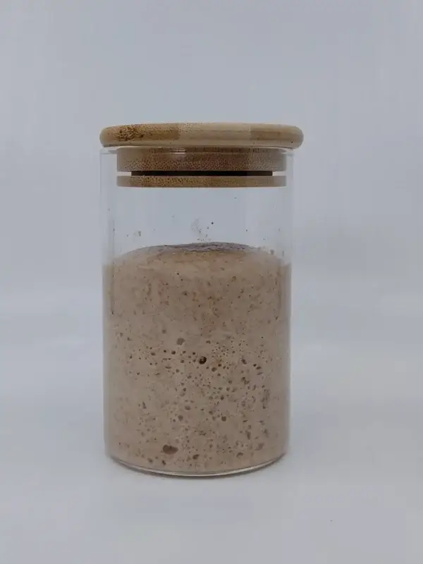 Zuurdesem starter pakket