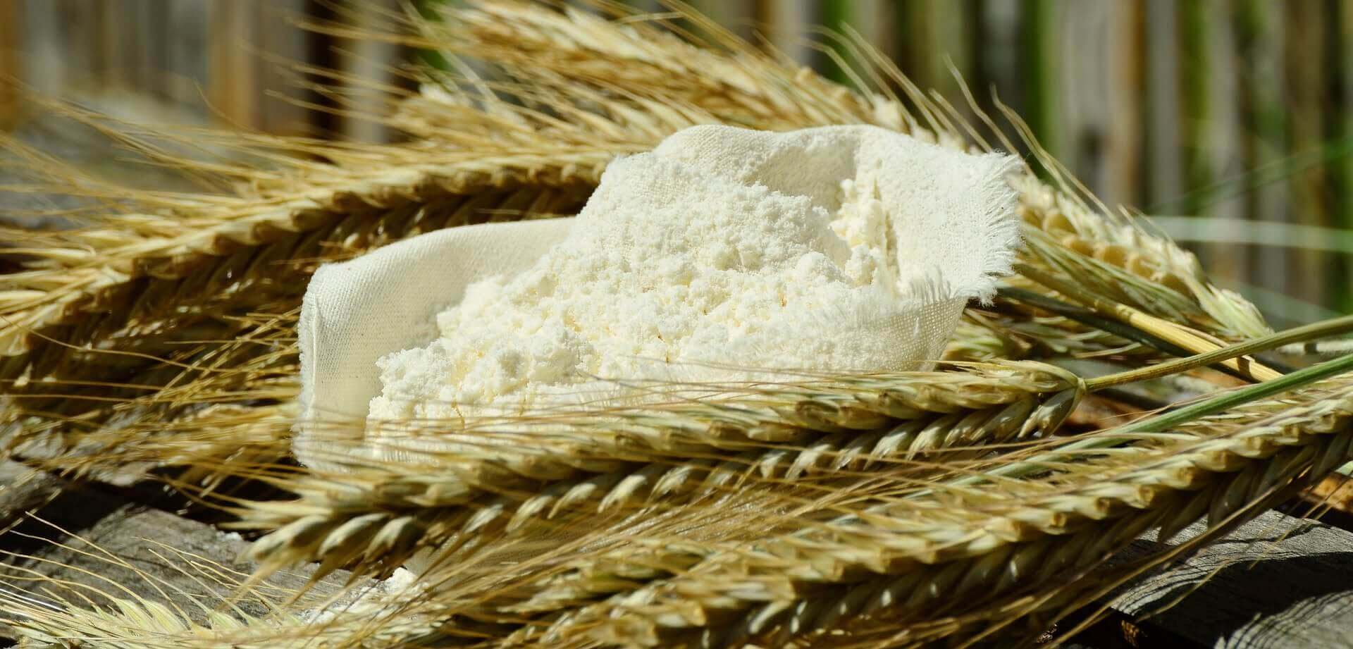Verschil tussen meel en bloem