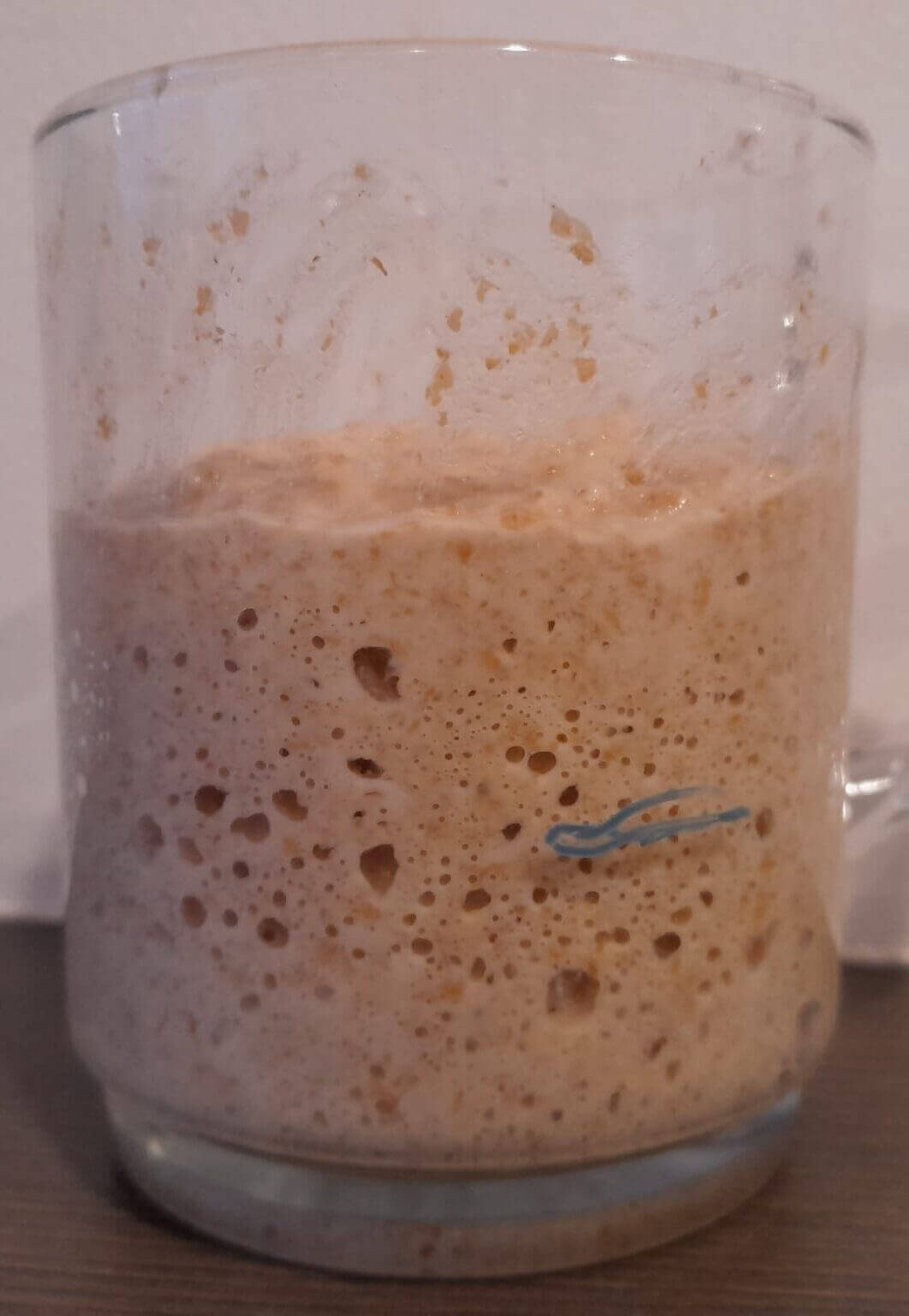 Zuurdesem starter voeden